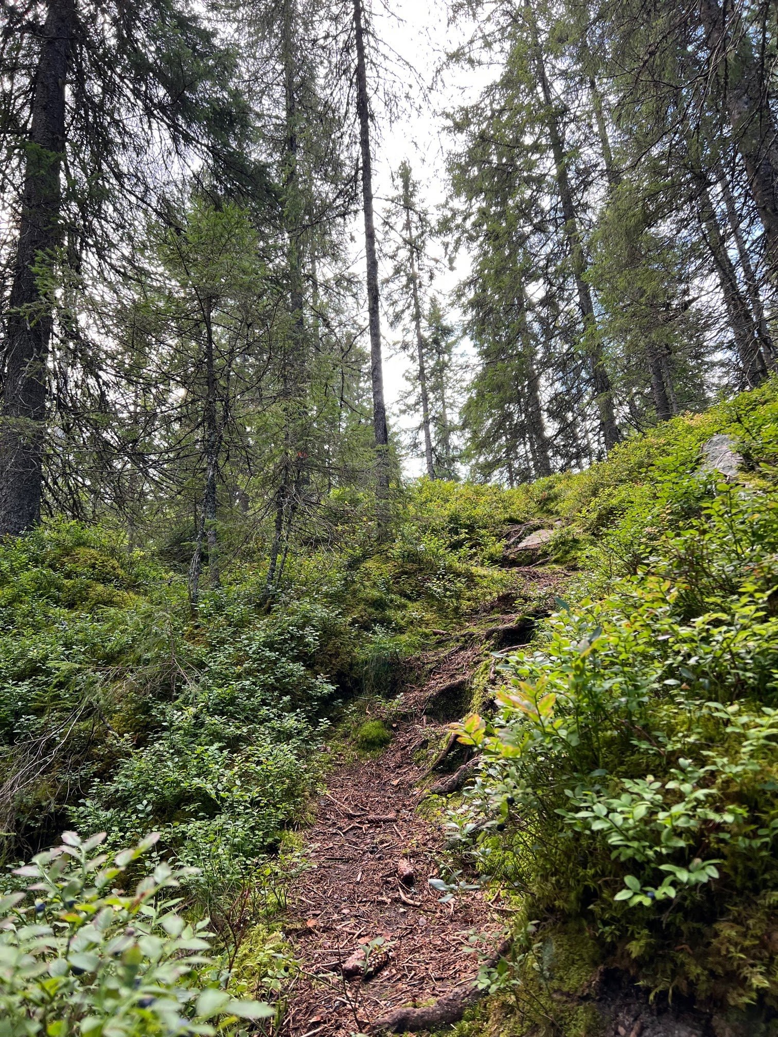 Camping Fristad (Vitsand, Torsby)